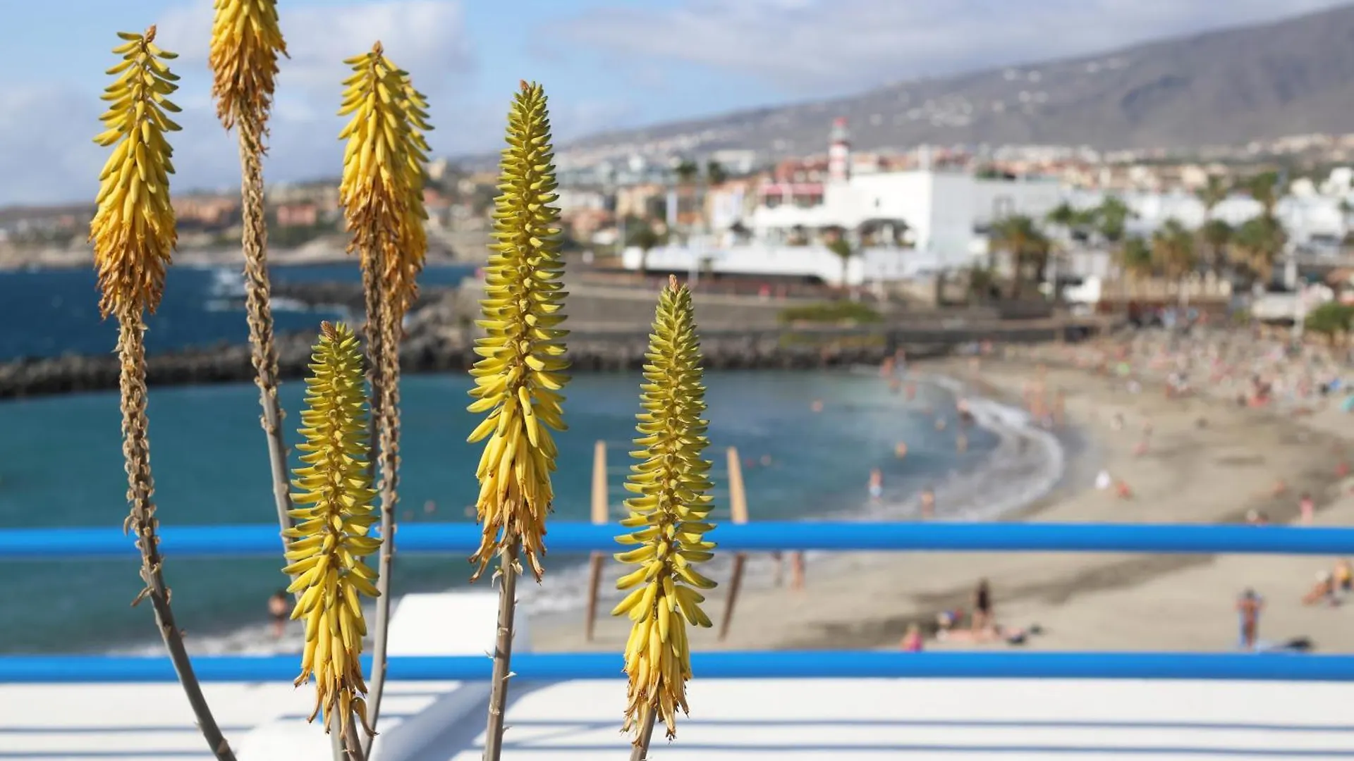 Luxury Romantic Ocean View Costa Adeje  Costa Adeje (Tenerife)